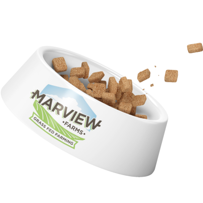 Raw Pet Food